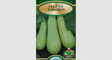 Cavili cuketa - ultra raný a plodný hybrid